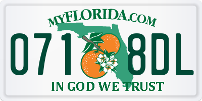 FL license plate 0718DL