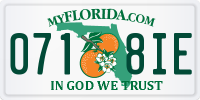 FL license plate 0718IE