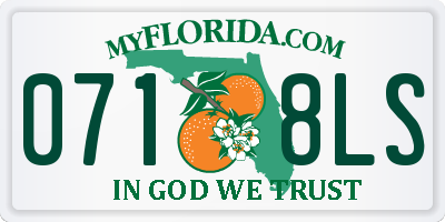 FL license plate 0718LS