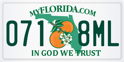 FL license plate 0718ML