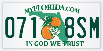 FL license plate 0718SM