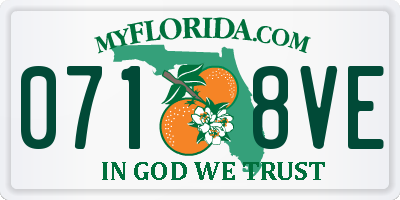 FL license plate 0718VE