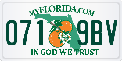 FL license plate 0719BV