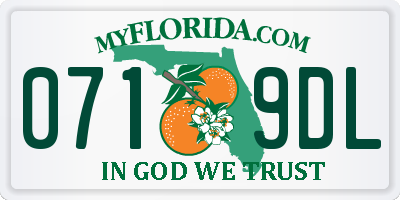 FL license plate 0719DL