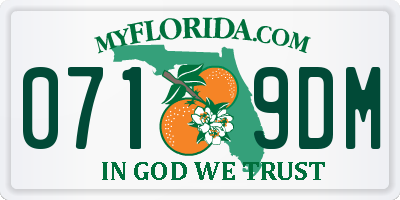 FL license plate 0719DM