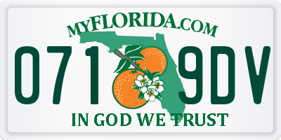 FL license plate 0719DV