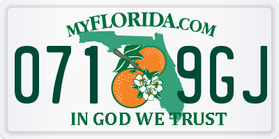 FL license plate 0719GJ