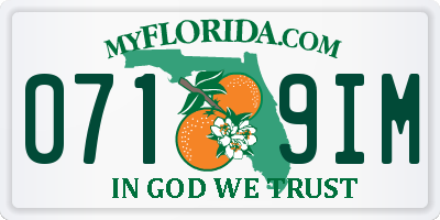 FL license plate 0719IM