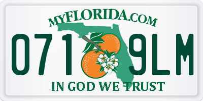 FL license plate 0719LM