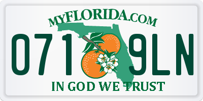 FL license plate 0719LN