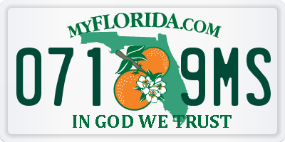 FL license plate 0719MS