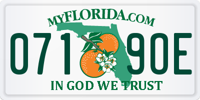 FL license plate 0719OE