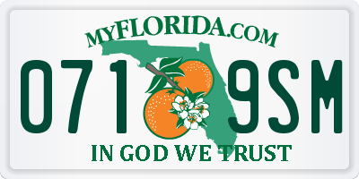 FL license plate 0719SM