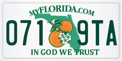 FL license plate 0719TA