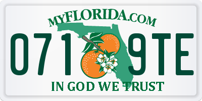 FL license plate 0719TE