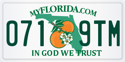 FL license plate 0719TM