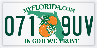 FL license plate 0719UV