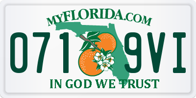 FL license plate 0719VI