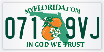 FL license plate 0719VJ