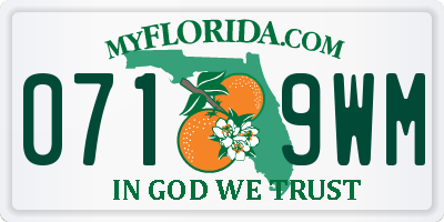 FL license plate 0719WM