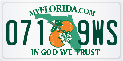 FL license plate 0719WS