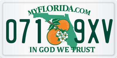 FL license plate 0719XV