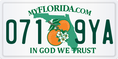 FL license plate 0719YA