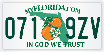 FL license plate 0719ZV
