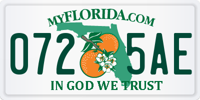 FL license plate 0725AE