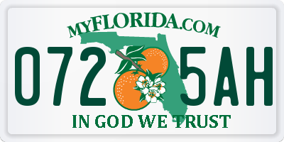 FL license plate 0725AH