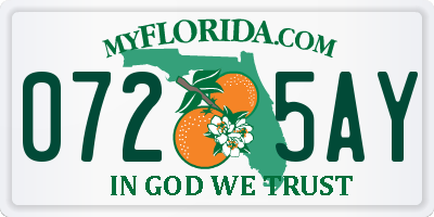 FL license plate 0725AY