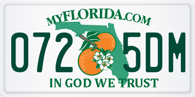 FL license plate 0725DM