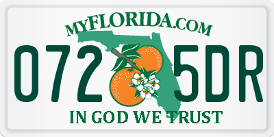 FL license plate 0725DR