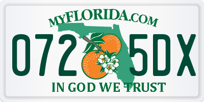 FL license plate 0725DX