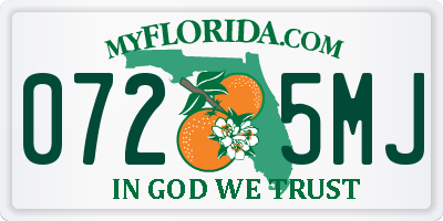 FL license plate 0725MJ