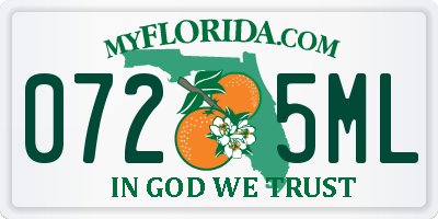 FL license plate 0725ML