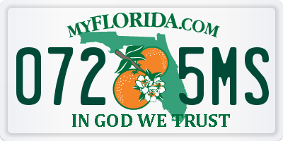 FL license plate 0725MS