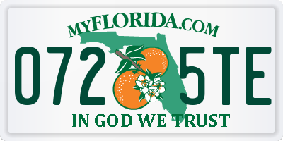 FL license plate 0725TE