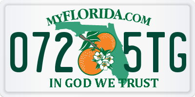 FL license plate 0725TG