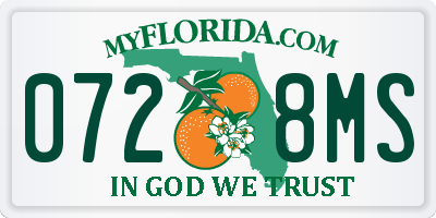 FL license plate 0728MS