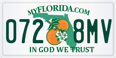 FL license plate 0728MV