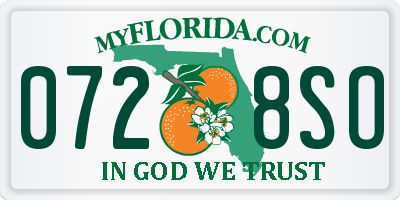 FL license plate 0728SO