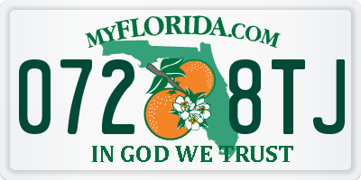 FL license plate 0728TJ