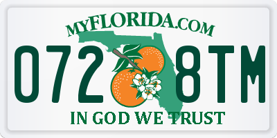 FL license plate 0728TM
