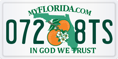 FL license plate 0728TS