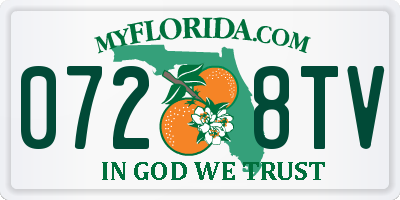 FL license plate 0728TV