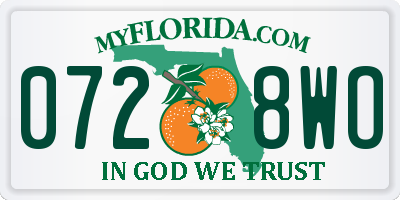 FL license plate 0728WO