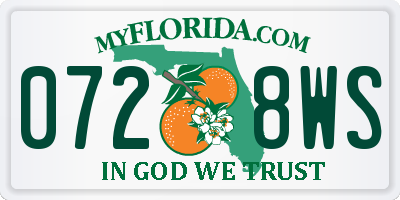 FL license plate 0728WS