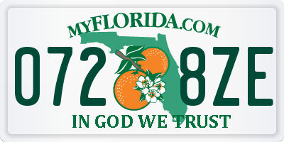FL license plate 0728ZE