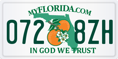 FL license plate 0728ZH